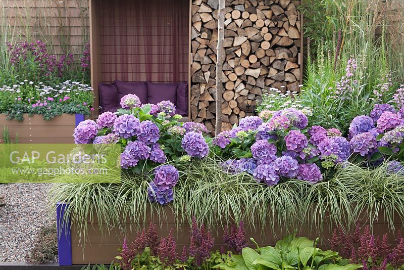 Hydrangeas, grasses, hostas and a recessed seating area enclosed by raised beds and a feature wood store. Futureproof, Waterproof Garden, RHS Tatton Flower Show 2011, Cheshire