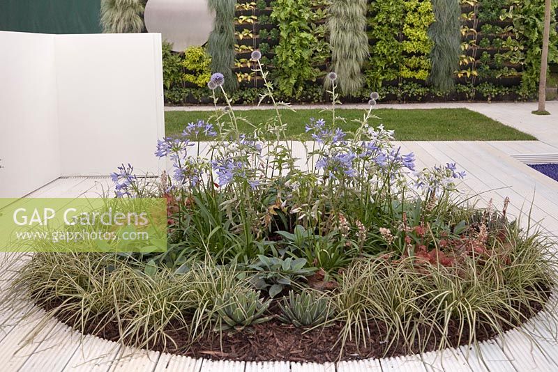 A living wall and circular flower bed set into white painted decking in a garden inspired by abstract painter Ben Nicholson. The Relief Garden, RHS Tatton Flower Show 2011, Cheshire