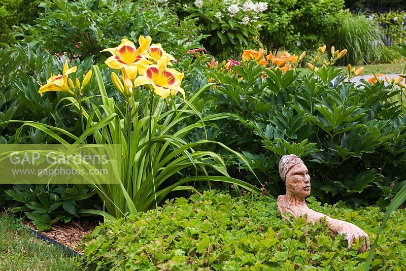 Border with Indian head sculpture, ground covering Geraniums, Hemerocallis 'King George', Paeonia 'Itoh Border Charm' in residential front yard garden in summer