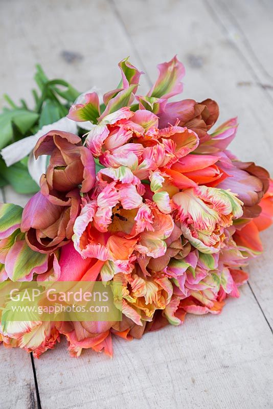 Bouquet of Tulipa 'Malaika', 'Temple of Beauty', 'Floriosa' and 'Apricot Parrot' on a table