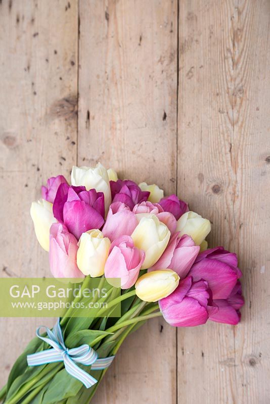 Bouquet of Tulipa 'Atilla', 'Catherina' and 'Rosalie' on a table