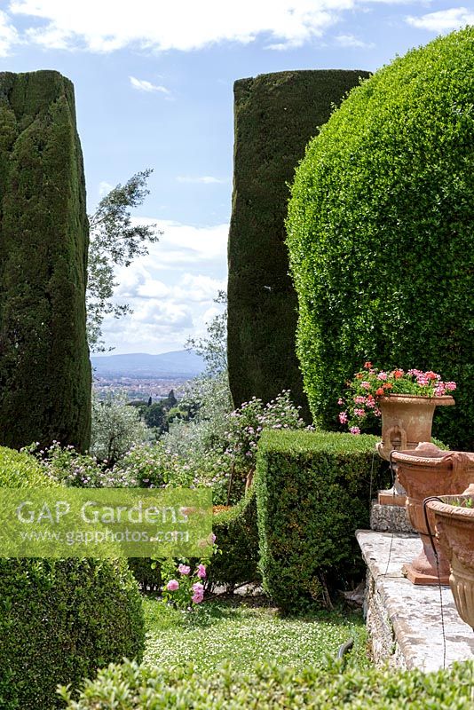 Villa Gamberaia, Settignano, Florence, Tuscany, Italy. Formal Italianate garden with clipped topiary parterre