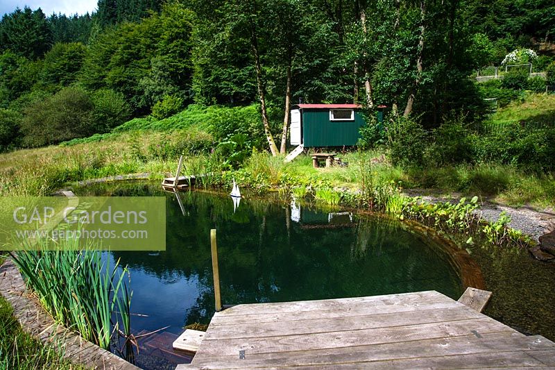 The natural swimming pond and shepherd's hut, Nant y Bedd, Abergavenny, South Wales