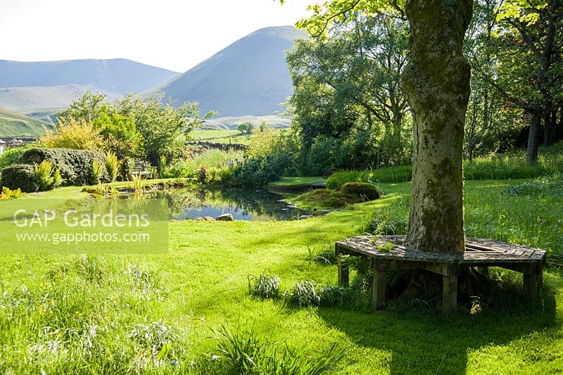 Areas of grass remain uncut where bulbs have flowered earlier in the year below mature sycamores. A still pool leads the eye towards the shapes of the Northern Fells beyond the garden.