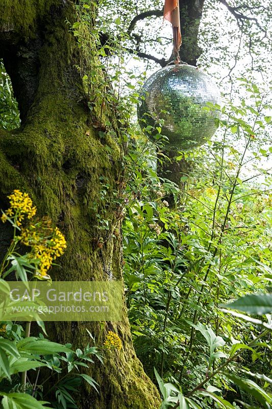 Mirrored disco ball hanging from a tree. Hunting Brook Garden, Co Wicklow, Ireland