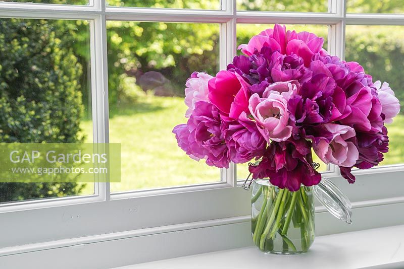 Glass vase containing Tulipa 'Backpacker', 'Victoria's Secret', 'Pink Diamond' and 'Barcelona'