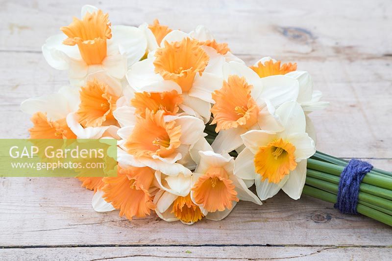 Narcissus 'Full Throttle' bouquet on a table