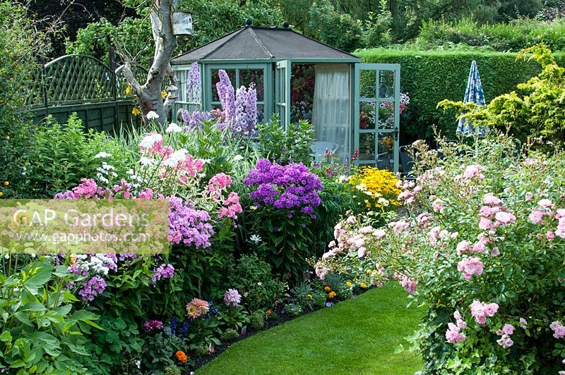 Colourful back garden with mixed borders filled with tender bedding plants, shrubs and perennials including Rosa 'The Fairy', Delphinium 'Sweet Sensation', Phlox 'Elizabeth' 