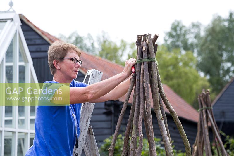 Philippa Burrough tying Hazel stake support together with twine