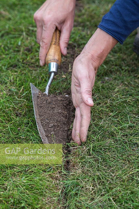 Filling in any gaps between the rolls of turf with soil