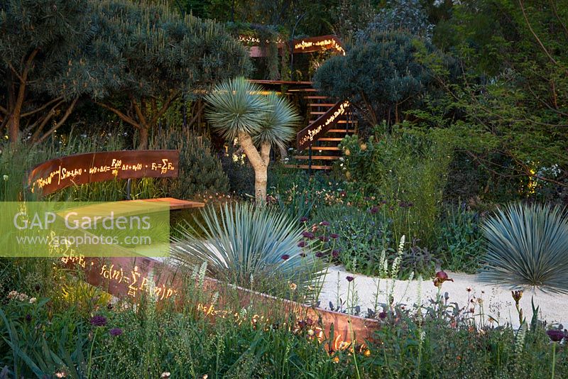 The Winton Beauty of Mathematics Garden lit at night, RHS Chelsea Flower Show 2016. Illuminated mathematical symbols cut into band of copper running through the garden forming back of bench and bannister for staircase. Pinus sylvestris 'Glauca' - blue Scot's pine, Yucca rostrata - Beaked Yucca