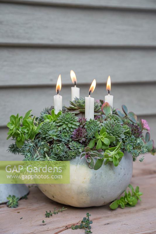 A Pumpkin candle holder planted with Succulents