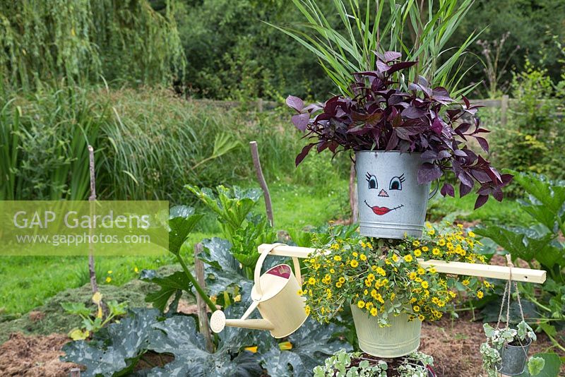 A scarecrow made from galvanised buckets, compact discs, wood and string. Plants included are Variegated Helichrysum, Iresine, Sanvitalia procumbens 'Sunvy Trailing' and Panicum virgatum 'Warrior'