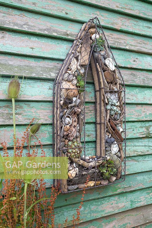 A Seaside themed wire frame hanging on a shed. Planted with Succulents, shells, drift wood, stones and nautical items