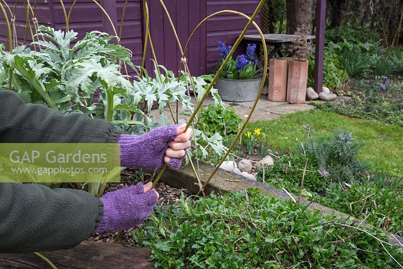 Insert the Willow branch into the border