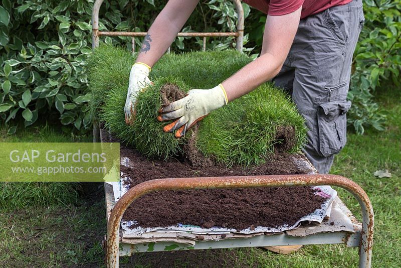 Lay the turf on top of the compost, tucking under the edges to give the impression of a neat duvet