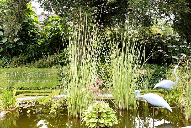 Detail of the pond with statue of 'Two Herons' by Michael Lythgoe. Bourton House Garden, Gloucestershire. Mid summer. 