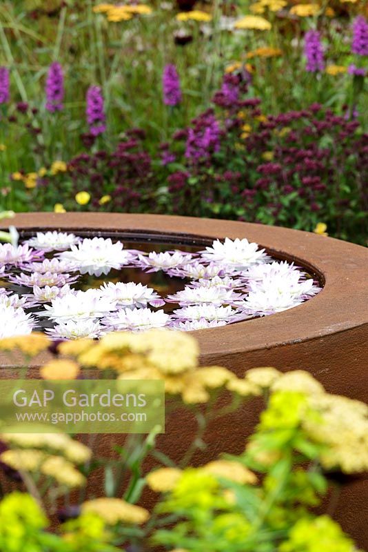 'Katie's Garden' designed by Carolyn Dunster, Noemi Mercurelli. Hampton Court Flower Show 2016. 