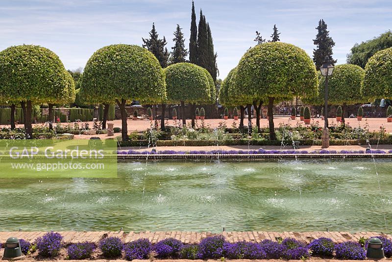 Clipped standard orange trees, ornamental pool and bedding plants - Cordoba, Spain