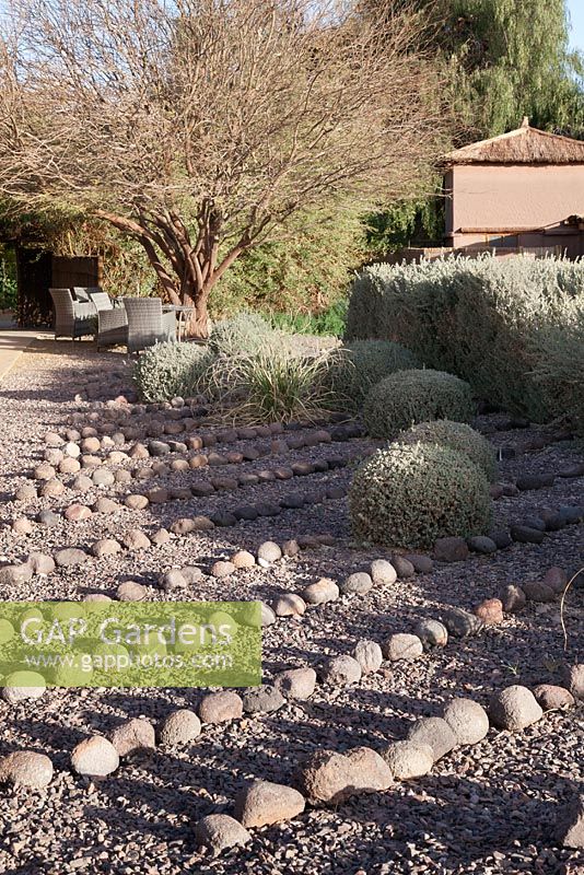 Stipa grasses and clipped ball topiary set amongst gravel and boulders with seating area beyond in desert garden