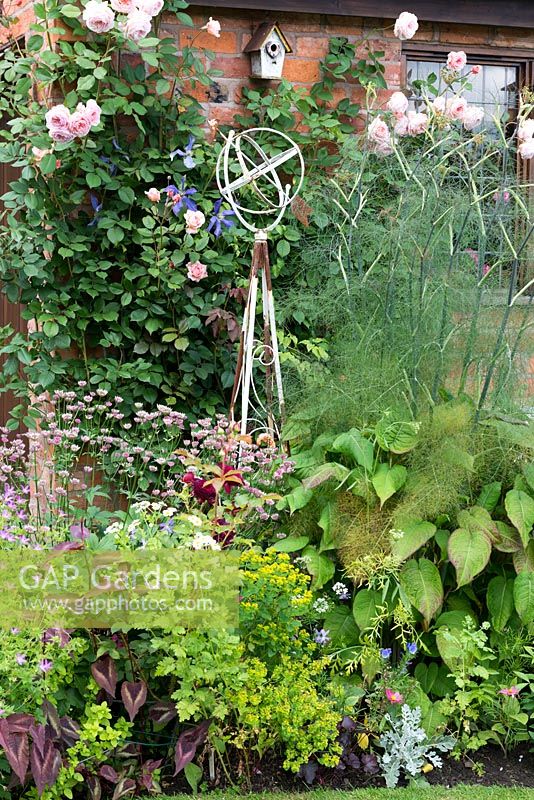 A cottage garden border with metal obelisk surrounded by Astrantia, Foeniculum, Euphorbia and Rosa 'Shropshire Lad' 
