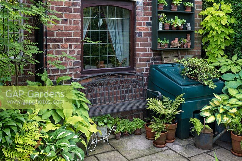 A metal bench surrounded by containers planted with Hosta, Primula auricula and ferns.