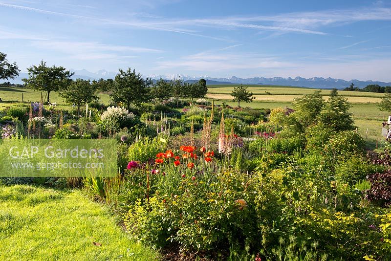 Garden overview with view to swiss mountain 