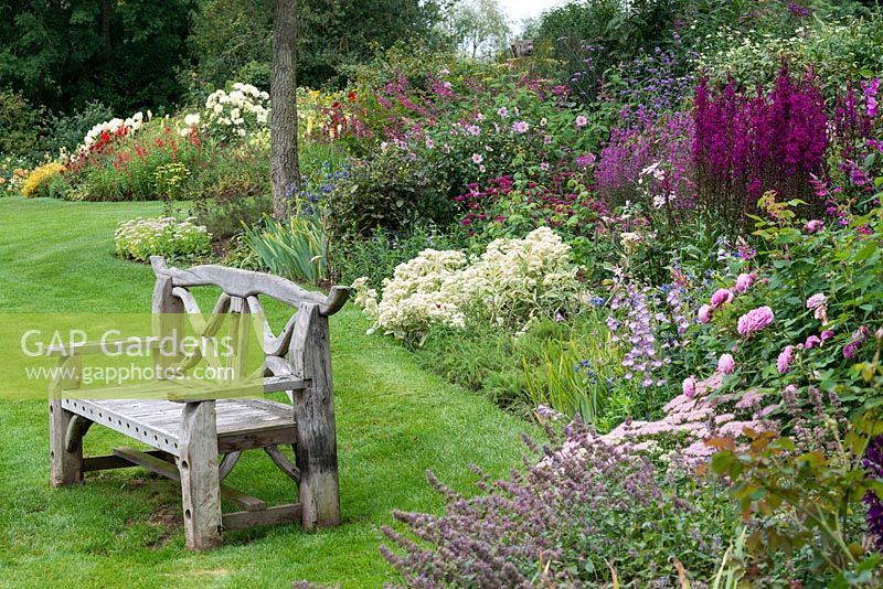 A wooden bench in front of a purple, pink and blue autumn border. Planting includes Clematis heracleifolia 'Cassandra', Salvia involucrata, Dahlia sherfii, Rosa 'Louise Odier', Sedum spectabile and 'Frosty Morn', Lobelia 'Tania' and 'Hadspen Purple'.
