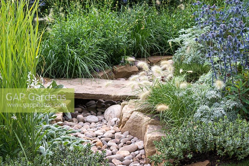 Dry stream bed flanked by Pennisetum, Eryngium, Guara, salvia and Hebe. The Drought Garden designed by Steve Dimmock.