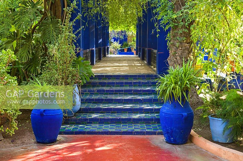 Tiled steps leading to a pergola in the Jardin Majorelle. Created by Jacques Majorelle and further developed by Yves Saint Laurent and Pierre BergÃ©, Marrakech, Morocco