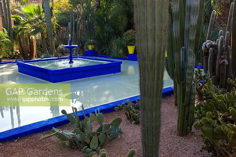 Square, blue painted fountain and pool with cacti in the Jardin Majorelle. Created by Jacques Majorelle and further developed by Yves Saint Laurent and Pierre Bergé, Marrakech, Morocco