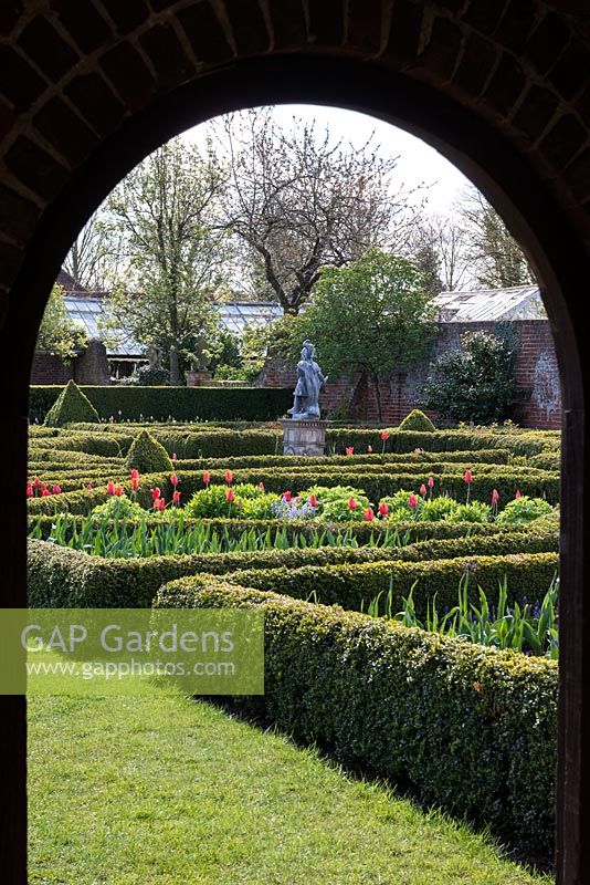 A view into a walled formal garden with box parterres filled with spring bulbs.