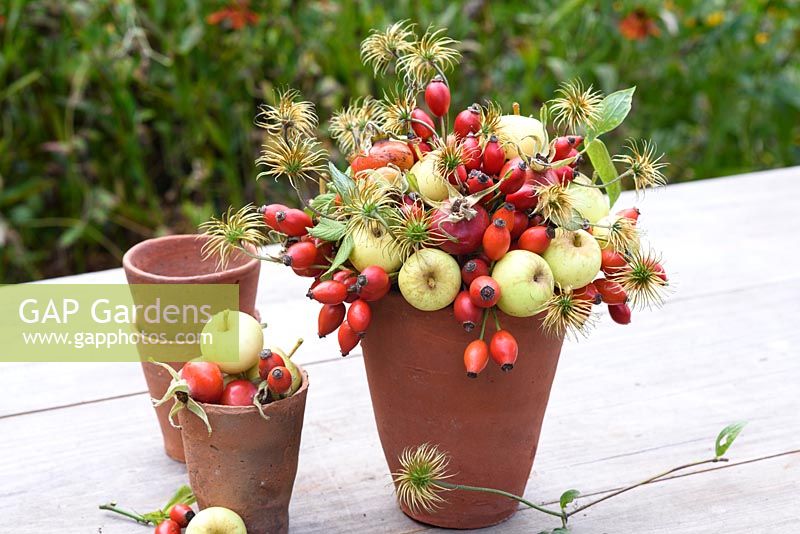 Crab apples, rosehips and clematis seedheads floral arrangement in terracotta pot 