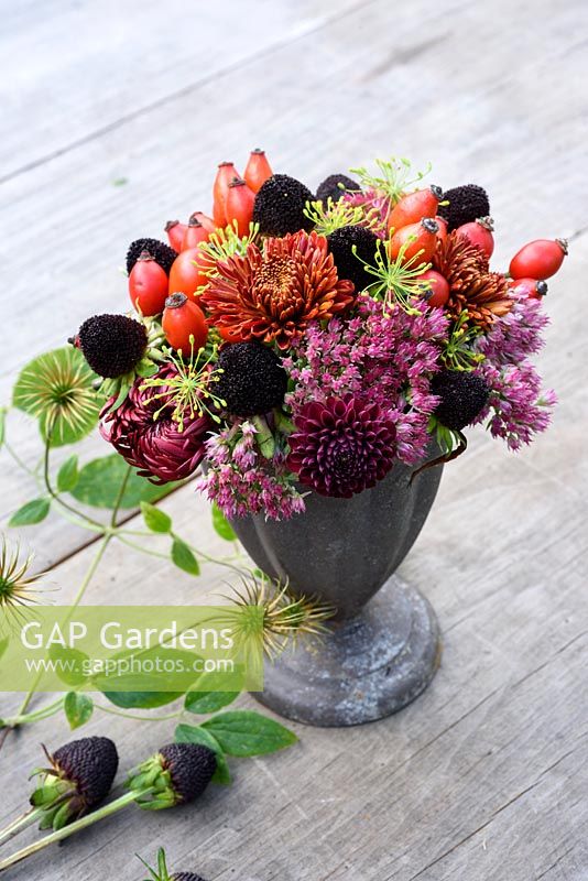 Sedum 'Autumn Joy', wild rosehips, rudbeckia seedheads and chrysanthemums arranged in small metal pot