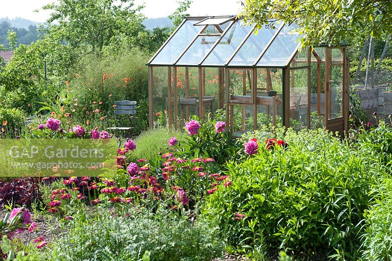 Greenhouse in cottage garden 