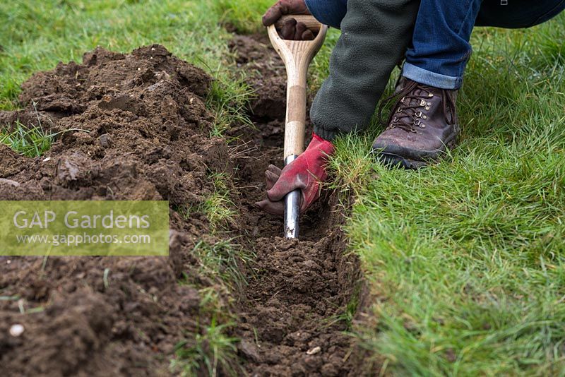 Use a spade to excavate 6 to 7 inches of soil