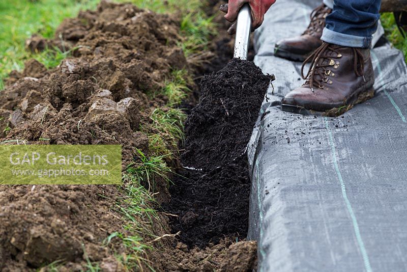 Fill the shallow trench with compost