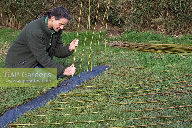 Stake the Willow sticks through the weed control fabric