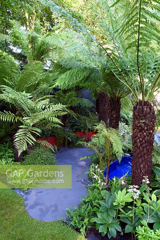 Garden For Crohns Disease. Lush Hardy Exotics planting. Designers: Andrew Fisher Tomlin and Dan Bowyer. Sponsors: Bowel Disease UK. RHS Hampton Court Palace Flower Show 2016