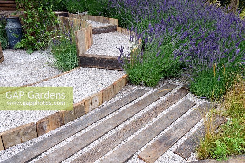 The Lavender Garden. Lavenders along timber and gravel walkway. Designers: Paula Napper, Sara Warren and Donna King. Sponsors: Shropshire Lavender. RHS Hampton Court Palace Flower Show 2016