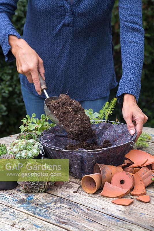 Fill the hanging basket with compost