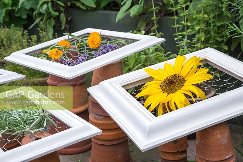 Upcycled picture frames used to dry herbs and flowers. Rosemary, Calendula, Lavender and Sunflower