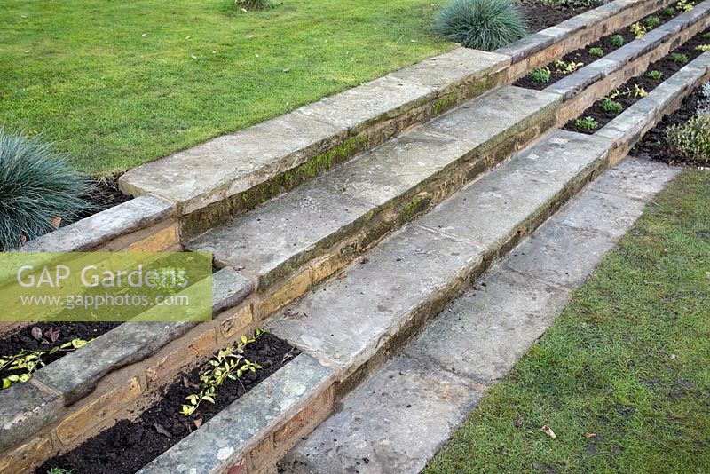 Finished stepped border after planting showing alignment with original steps to upper level of garden