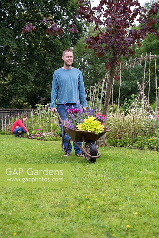 Man carrying plants in a wheelbarrow through the garden, girl working in background