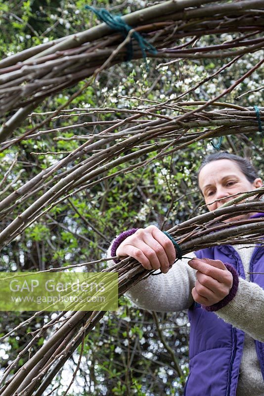 Secure the Scarlet Willow branches together with twine