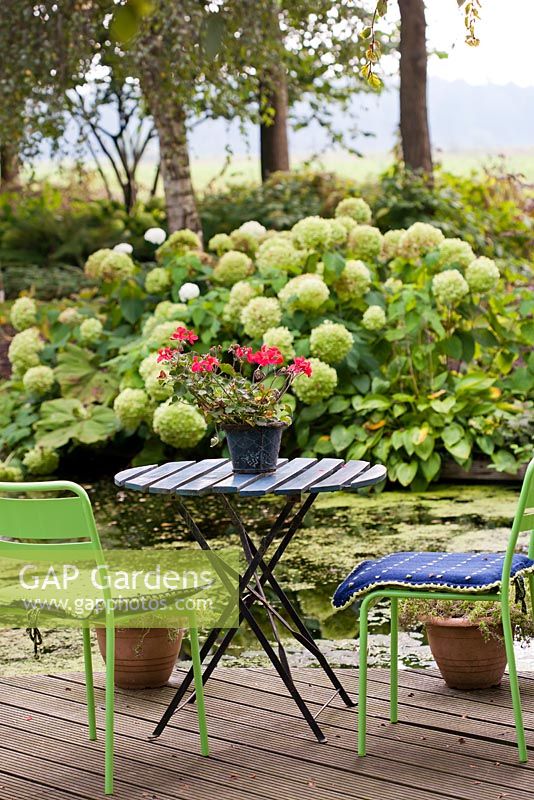 Relaxing area on a deck patio beside the pond  with Hydrangea 'Annabelle' in background. De Luie Tuinman