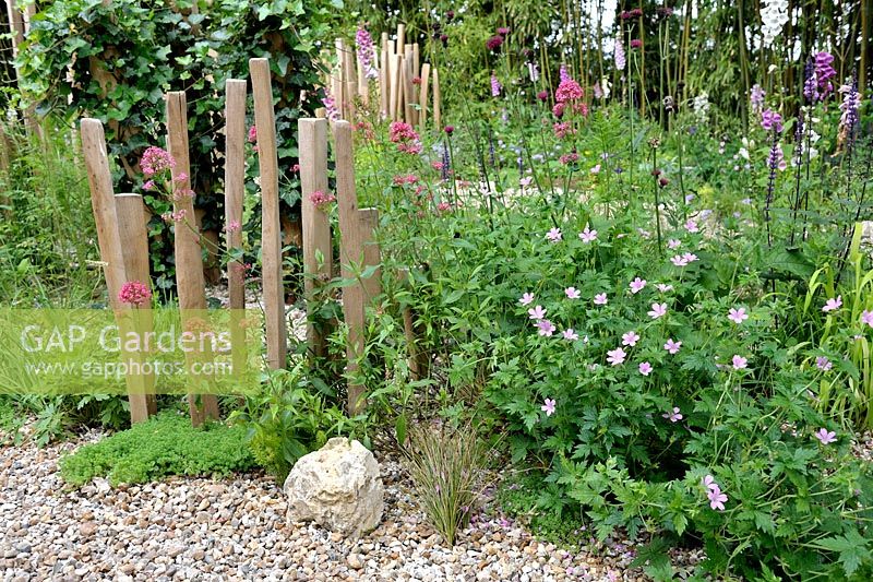 Wooden fence and plants in a cottage garden'Nous irons tous au jardin' designed by Laurent Dabomprez and Gaelle Van Damme at the Festival International des Jardins 2016, Chaumont-sur-Loire, France