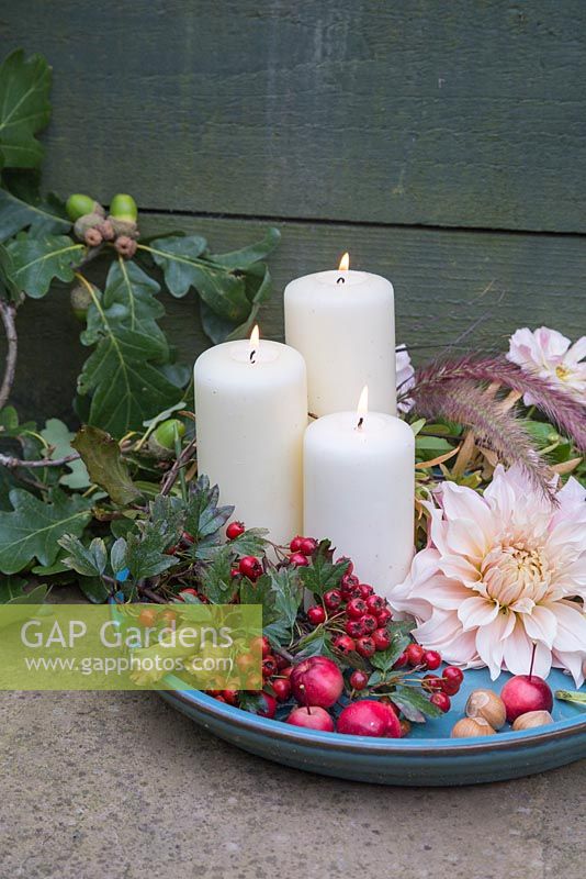 Autumnal display with lit candles, Dahlia 'Cafe au Lait', Crab Apples and Hawthorn berries