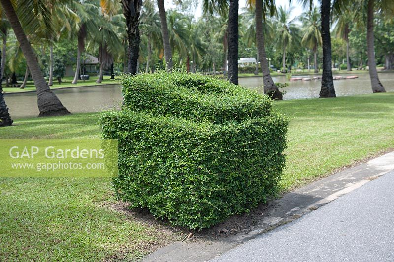 Bangkok Thailand Chatuchak Park Topiary designed to surround the rubbish bins. 