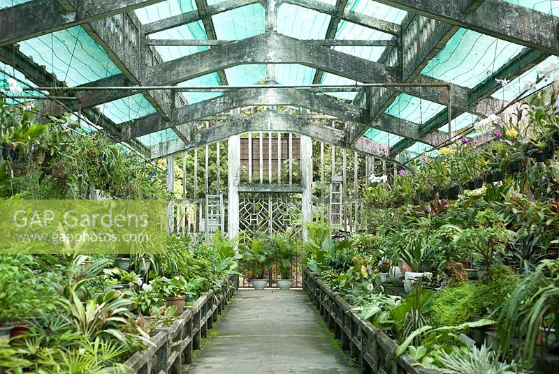Ho Chi Minh City Vietnam Botanical Gardens. Orchid house.